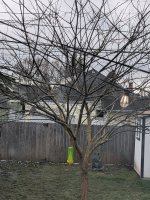 PXL_20250214_230042917.jpg