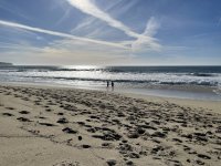 IMG_5099.jpeg