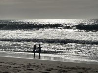 IMG_5101.jpeg