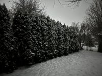 IMG_2661.jpeg