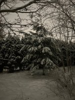 IMG_2666.jpeg