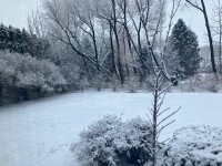 IMG_0915.jpeg