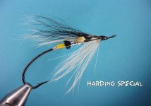 Harding Special.jpg