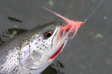 IMG_0857.jpeg