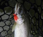 IMG_0859.jpeg