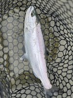IMG_5858.jpeg