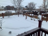IMG_1060.jpeg IMG_1060.jpeg
