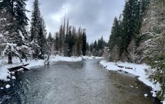 IMG_8588.jpeg