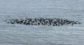 IMG_0839.jpeg