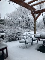 IMG_0916.jpeg