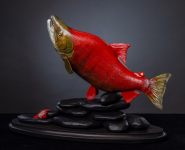 Salmon_Sockeye_1840.png Salmon_Sockeye_1840.png