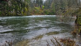 20250219_131240.jpg