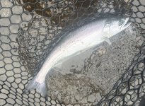 IMG_5892.jpeg