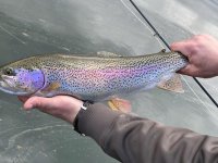 IMG_20220313_234414.jpg