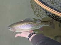 PXL_20220311_235029046.jpg