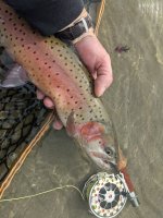 PXL_20220318_183321285.MP.jpg