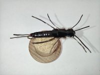 IMG_20220311_102124229.jpg