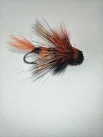 IMG_20220208_095734245.jpg