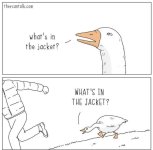FB_IMG_1648266418628.jpg