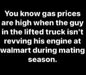 FB_IMG_1648353411678.jpg