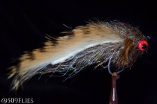 DSC_0117 - edit 1.jpg