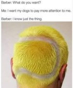 FB_IMG_1648403050423.jpg