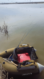 20220327_121813_1.gif