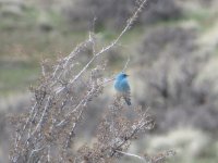 IMG_1509.JPG