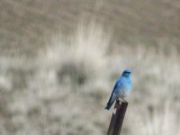 IMG_1522.JPG