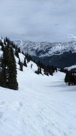 PXL_20220328_173255318.jpg
