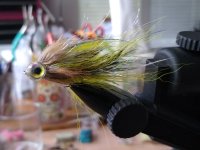 IMG_20200701_180315848.jpg