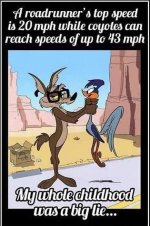 FB_IMG_1648750659580.jpg