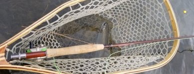 20220331_classictrout.jpg