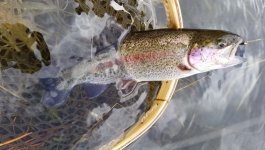 20220331_cuttbow.jpg
