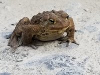 20190905_165844.jpg