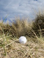 4CD522FA-D5FF-4026-BE38-8F2AE9DE0E37.jpeg