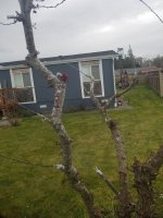 20220403_110804.jpg 20220403_110804.jpg