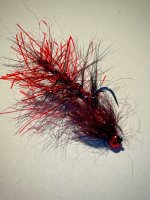 IMG_5743.jpeg IMG_5743.jpeg