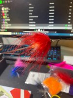 IMG_4875.jpg IMG_4875.jpg
