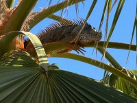 IMG_3891.jpeg