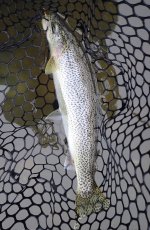 IMG_0949.jpeg