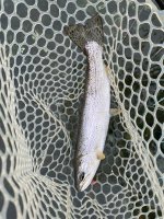 IMG_0938.jpeg