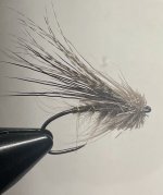 IMG_1420.jpeg