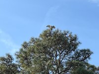 IMG_1004.jpeg