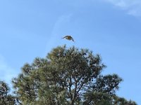 IMG_1007.jpeg