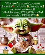 FB_IMG_1740417784298.jpg