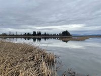 IMG_4266.jpeg