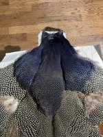 IMG_4275.jpeg