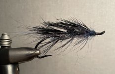 IMG_4282.jpeg