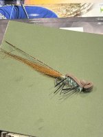 IMG_5892.jpeg